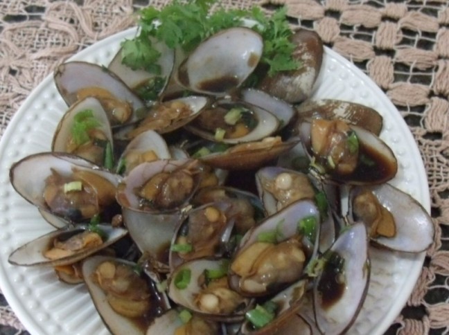 Taiobas Pontal da Barra